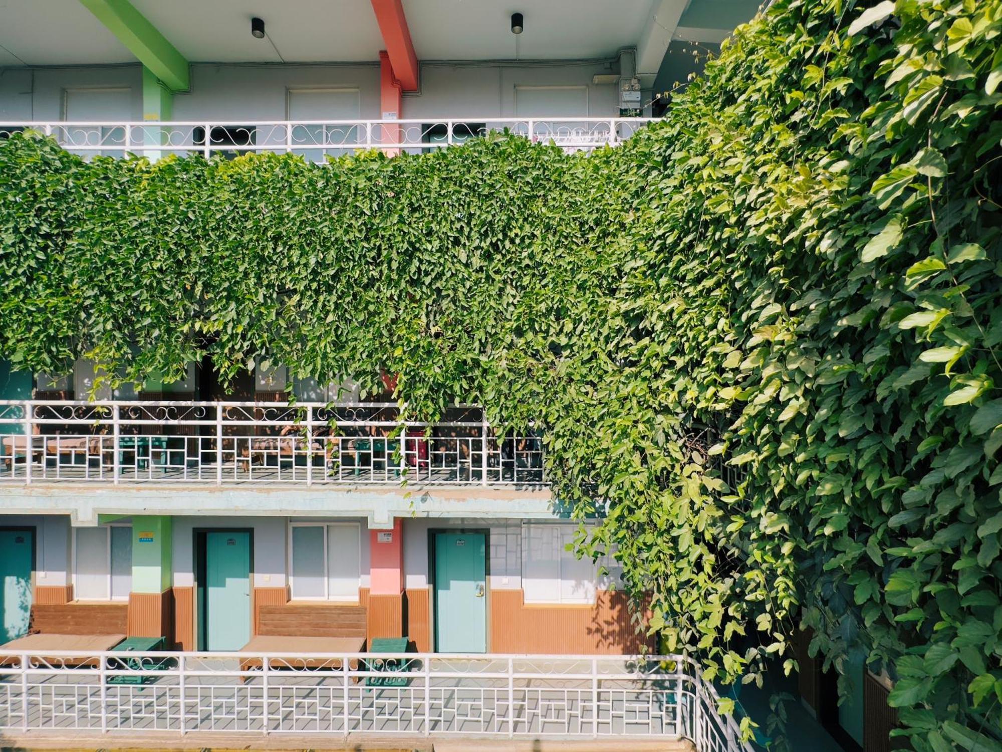 The Cloudland International Youth Hostel Close To The City Center,10 Min Walks To The Subway, Close To The Night Market, Old Street, Green Lake, English-Speaking Service, Free Activity Convenient Payment And Visa Cards Are Accepted Kunming Exterior photo